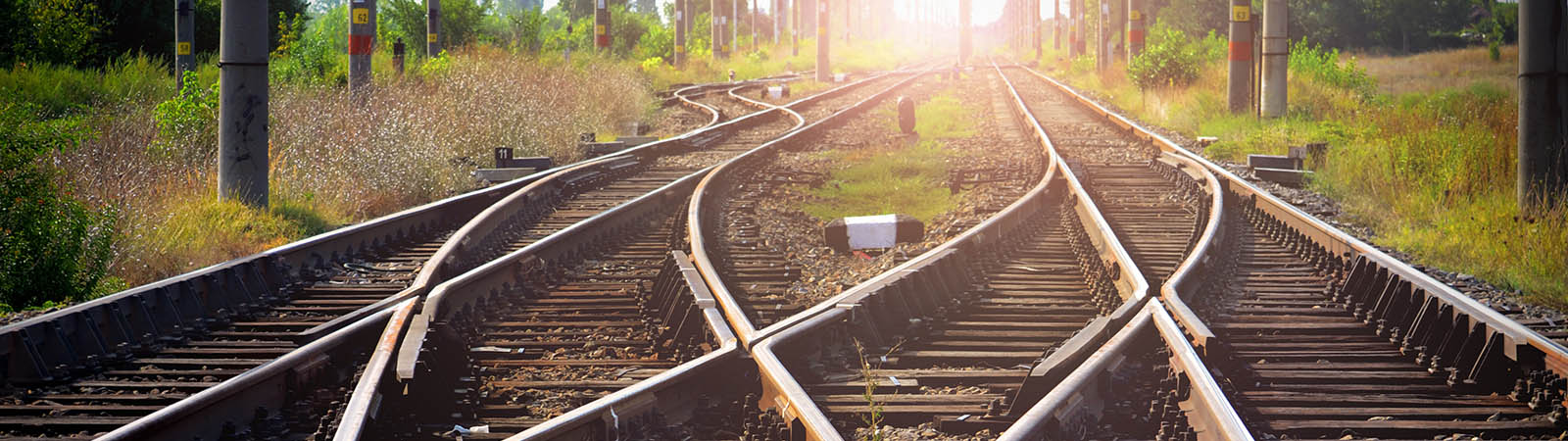 Anatomy Trains av Tom Myers hjälper oss förstå rörelseapparaten