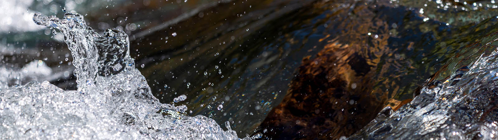 Get the lymph flow!