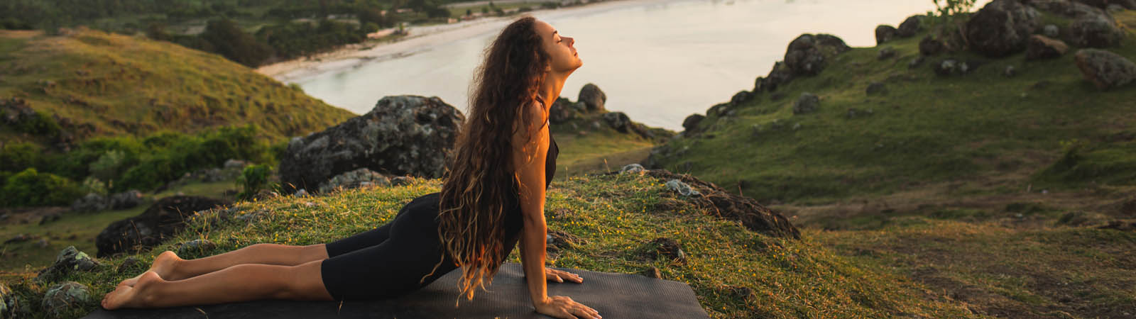 The strength of collagen