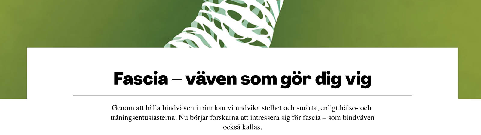 Article about fascia in the magazine Forskning & Framsteg